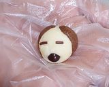 Foto langkah ke 5 dari resep Doggy Cookies.