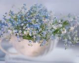 Фото кроку 13 до Сливовая пастила (сливовый лаваш) #Летниедесерты.