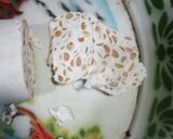 Foto langkah ke 5 dari resep Kripik tempe tapioka.