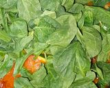 Foto del paso 2 de la receta: Radiatori en salsa de verduras