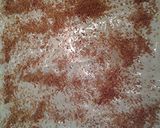A picture of step 6 of Phyllo dessert.