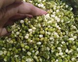 Foto langkah ke 2 dari resep Kacang Ijo / Hijau Crispy.