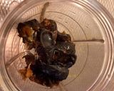 A picture of step 2 of Dates Cinnamon Shake.