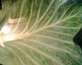 Pork loin in cabbage leaf recipe step 3 photo
