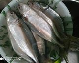 Foto langkah ke 1 dari resep Sate ikan kukus.