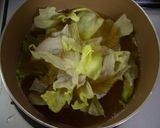 A picture of step 1 of Chinese Soup with Lettuce and Egg in 5 Minutes.