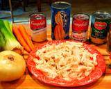 Mike's Kids EZ Chicken & Dumplings recipe step 1 photo