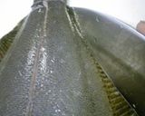 A picture of step 6 of Really Easy! How to Cut Up Flounder (Method 1).