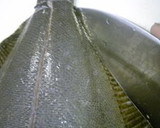 A picture of step 6 of Really Easy! How to Cut Up Flounder (Method 1).