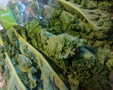Foto del paso 1 de la receta: ¿Cómo preparar la col kale antes de cocinarla? #superalimento