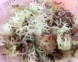 Hình bước làm 1 của món Nộm rau câu chân vịt