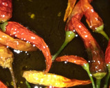 Foto del paso 2 de la receta: Aceité virgen extra aromatizado con guindillas