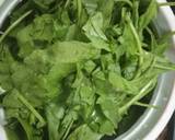 Homemade Palak  Paneer recipe step 1 photo