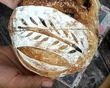 Foto langkah ke 14 dari resep Classic Sourdough Tanpa Stretch and Fold.