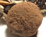A picture of step 8 of Chocolate Truffles.