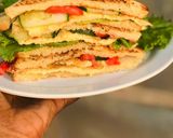 Sandwichmatakin girki9 hoto