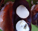 Foto del paso 1 de la receta: Libritos de lomo y cecina