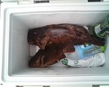 A picture of step 1 of Preparing Scorpion Fish Sashimi.
