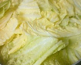 A picture of step 4 of Seconds Please! White Stew with Napa Cabbage and Turnip.