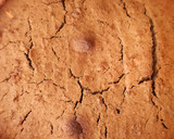 Foto del paso 5 de la receta: Bizcochuelo de lentejas y chocolate