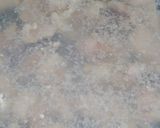 A picture of step 3 of Simmered Tuna Offcuts.