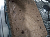 Brownies