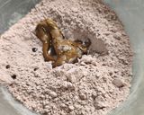 Foto del paso 1 de la receta: Alfajorcitos de cacao saludables