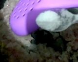 صورة لخطوة 1 من وصفة شوربة الذرة 😋 لليالي الشتاء البارد ❄️