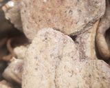 Foto del paso 4 de la receta: Galletas almendradas