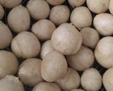 Foto langkah ke 5 dari resep Cimol Kopong (Anti Meledak).