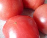 A picture of step 1 of Pasta with Basic Tomato Sauce.