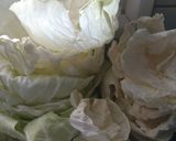 Φωτογραφία βήματος 1 της συνταγής Λαχανοντολμάδες Ανατολής