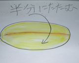 A picture of step 5 of Diagram for Shaping French Bread.