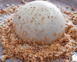 Foto del paso 10 de la receta: Panna cotta de manzana y canela con tierra de galleta