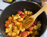 A picture of step 2 of Apple Butter.