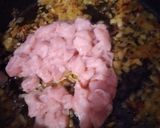 عکس مرحله 7 از دستور پیراشکی مرغ و قارچ solmaz
