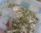 Foto del paso 2 de la receta: 🌱👩🏻‍🌾 Germinados en casa de Chía y lino