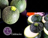 Foto del paso 2 de la receta: Calabacines luna rellenos