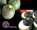 Foto del paso 2 de la receta: Calabacines luna rellenos