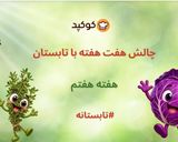 عکس مرحله 1 از دستور دمنوش آویشن و پونه کوهی