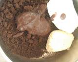 Rainbow Cassatta sandesh recipe step 11 photo