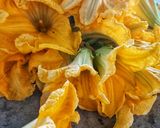 A picture of step 2 of Pumpkin flower fritters.