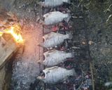 Foto langkah ke 4 dari resep Ikan mujair bakar pedas.