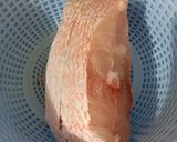 Foto langkah ke 1 dari resep Ikan kakap merah kecap saos tomat.