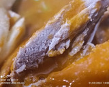 Foto del paso 6 de la receta: Codorniz en salsa escabechada