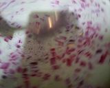 A picture of step 13 of Falooda jelly sharbat.