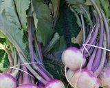 Une image de l'étape 13 de La Bresse 🐔en habits d'hiver 🥕🥬🥒🌶️.