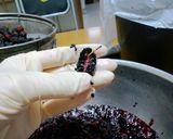A picture of step 6 of Mulberry Jam.