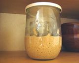 A picture of step 7 of Fizzy Bread Starter using Natural Leaven.