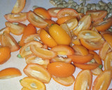 Foto del paso 1 de la receta: Mermelada de naranja kumquat en panificadora Lidl